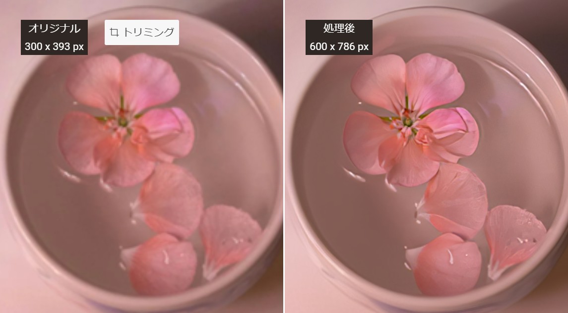 AI画像拡大で処理した花画像