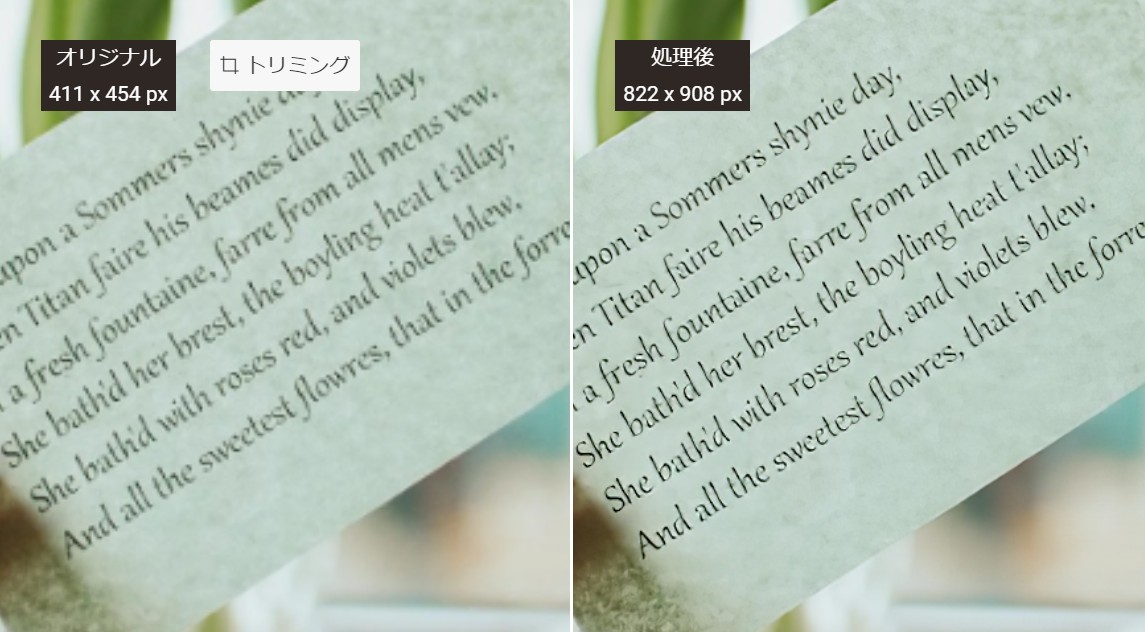 解像度を上げた画像