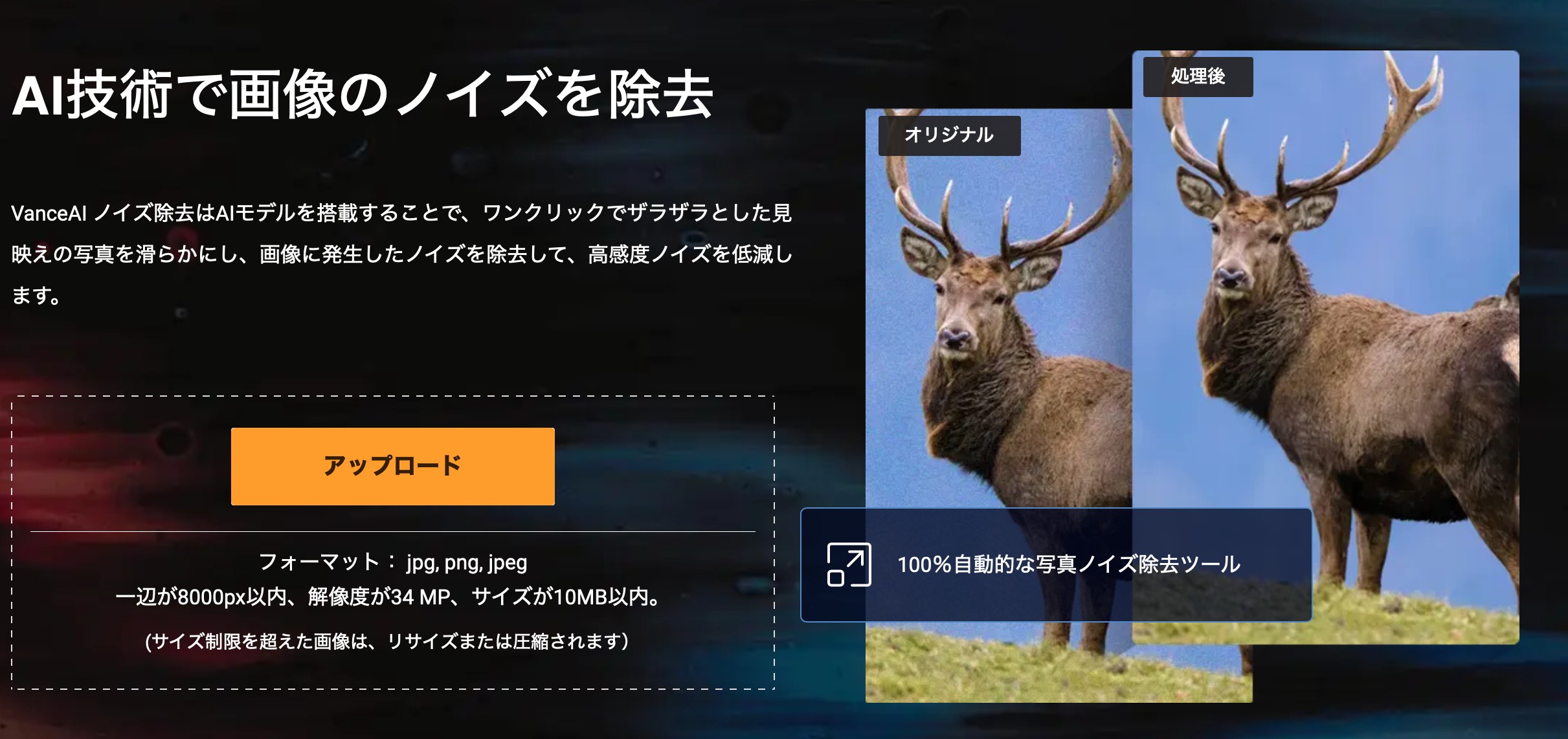 VanceAI ノイズ除去