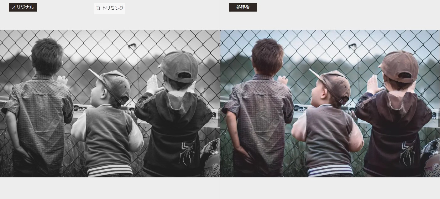 VanceAI白黒写真カラー化