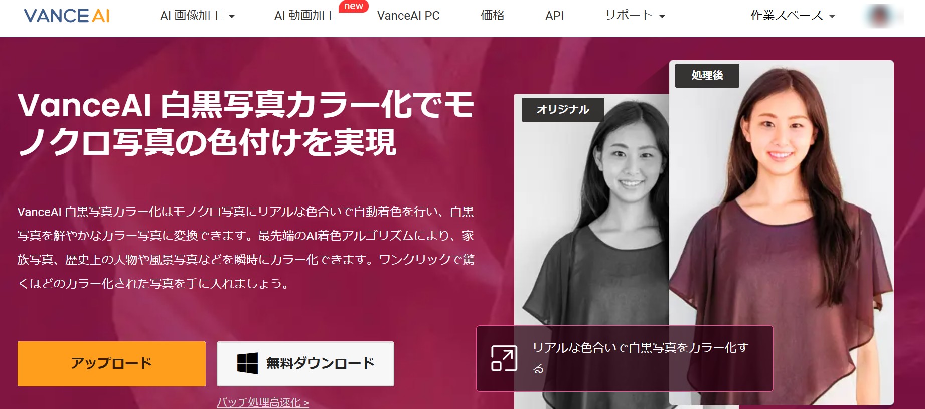 VanceAI白黒写真カラー化