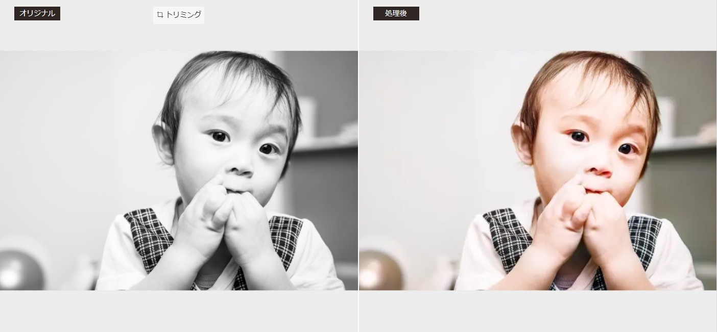 VanceAI白黒写真カラー化