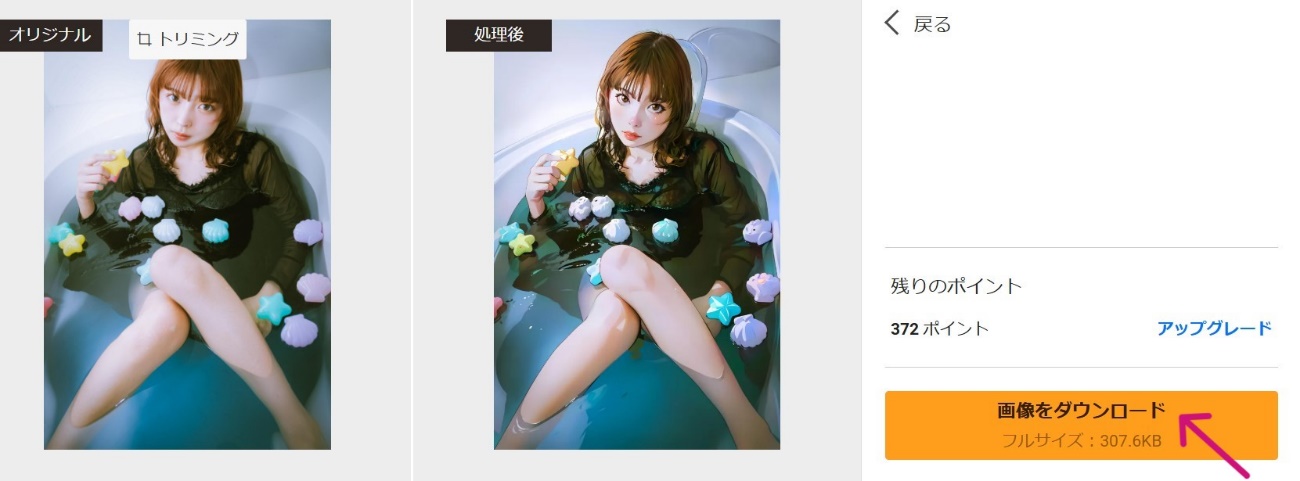 STEP3:ダウンロード