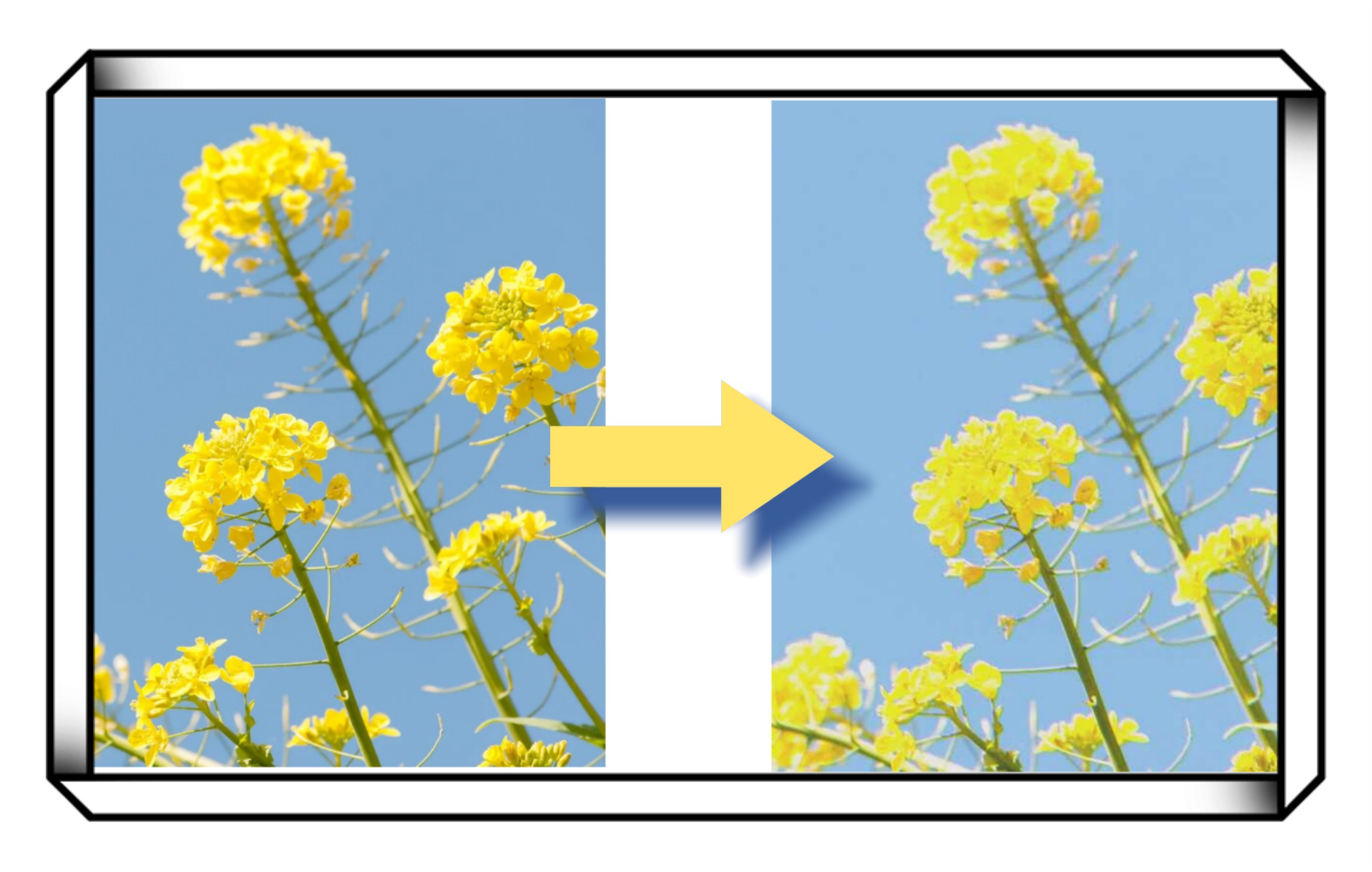 JPEGが劣化する原因
